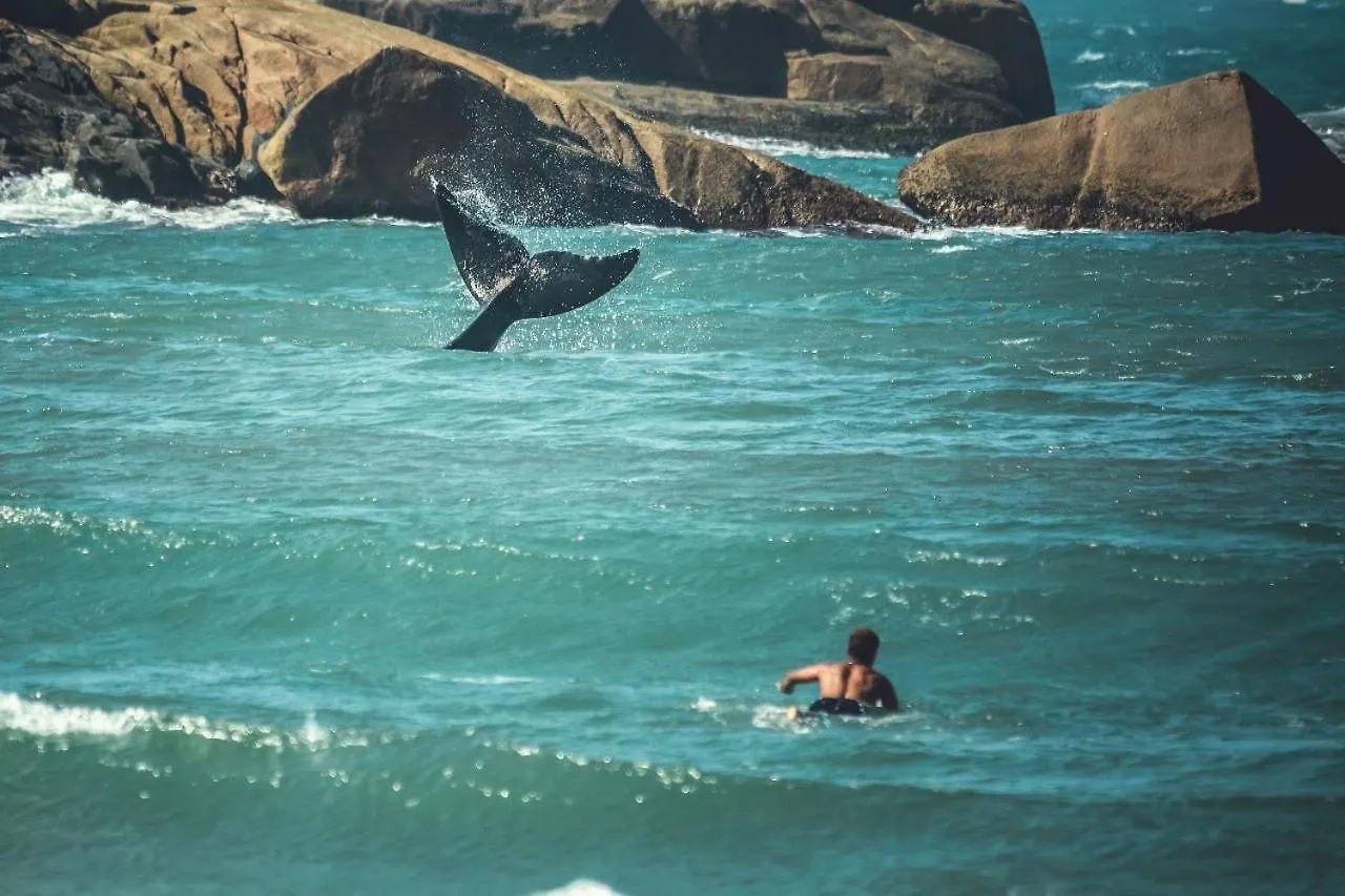 Casa de Férias Calarosa Condominio Praia do Rosa Brasil